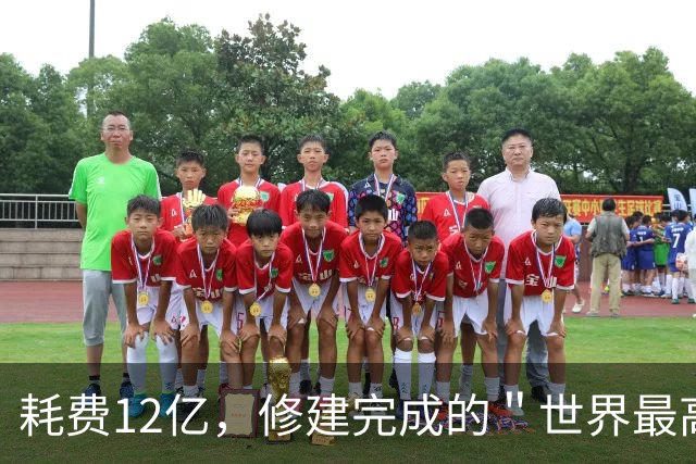 耗费12亿，修建完成的＂世界最高佛＂，如今却拜不起，水喝不起
